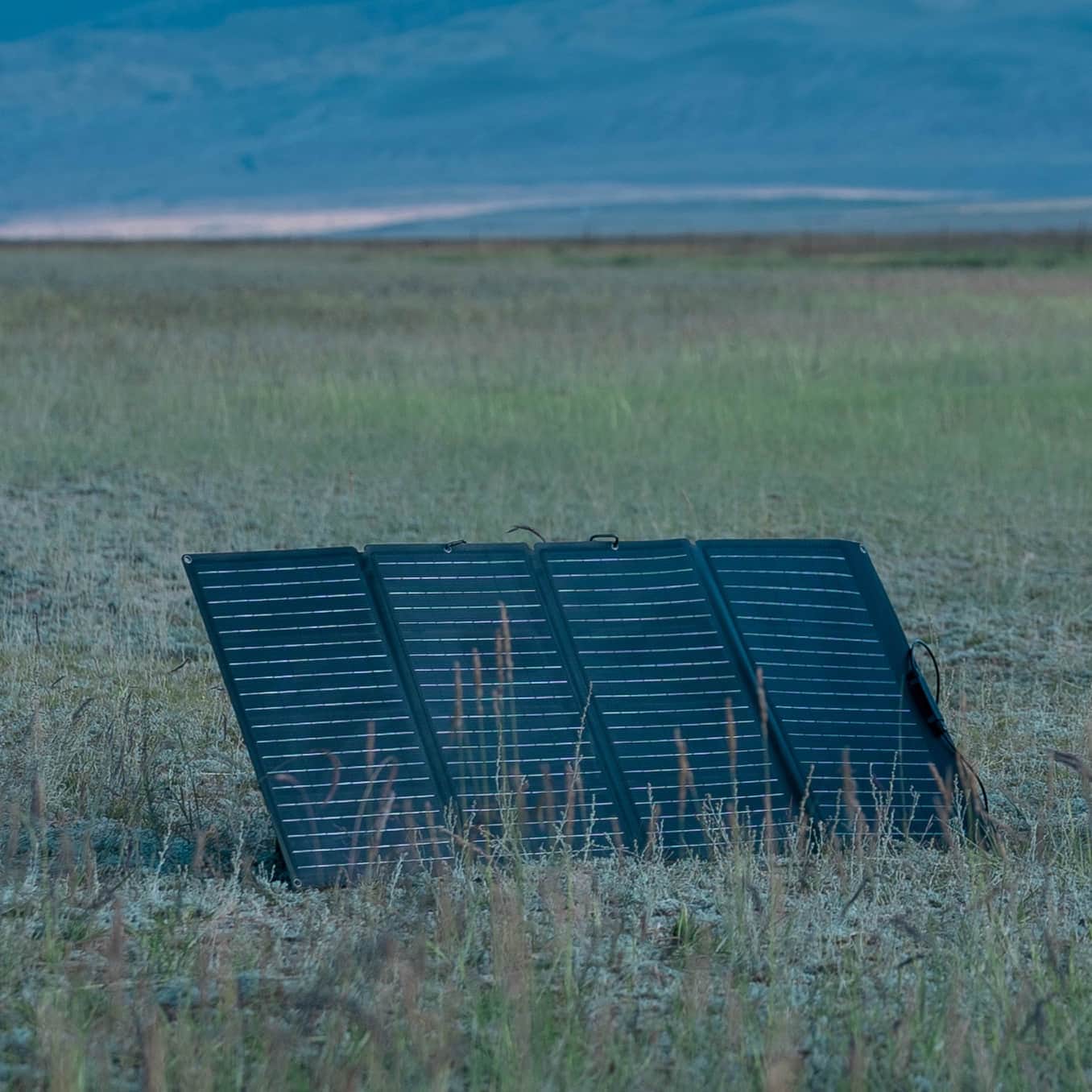 Panneau Solaire Portable - 160W - Usage Extérieur - Tension Variable