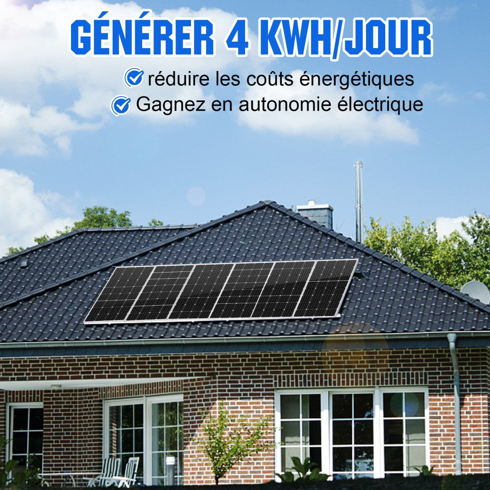 Panneau Solaire 100W