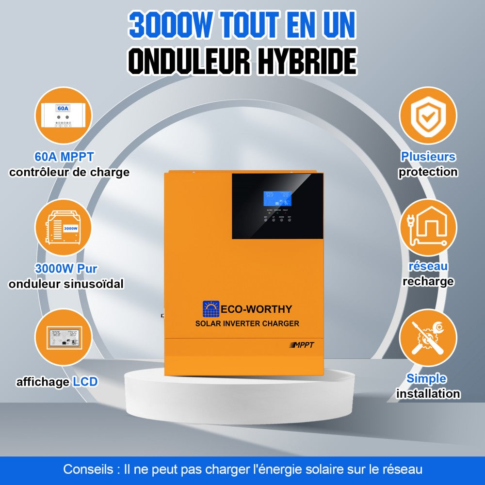 Panneau Solaire 100W