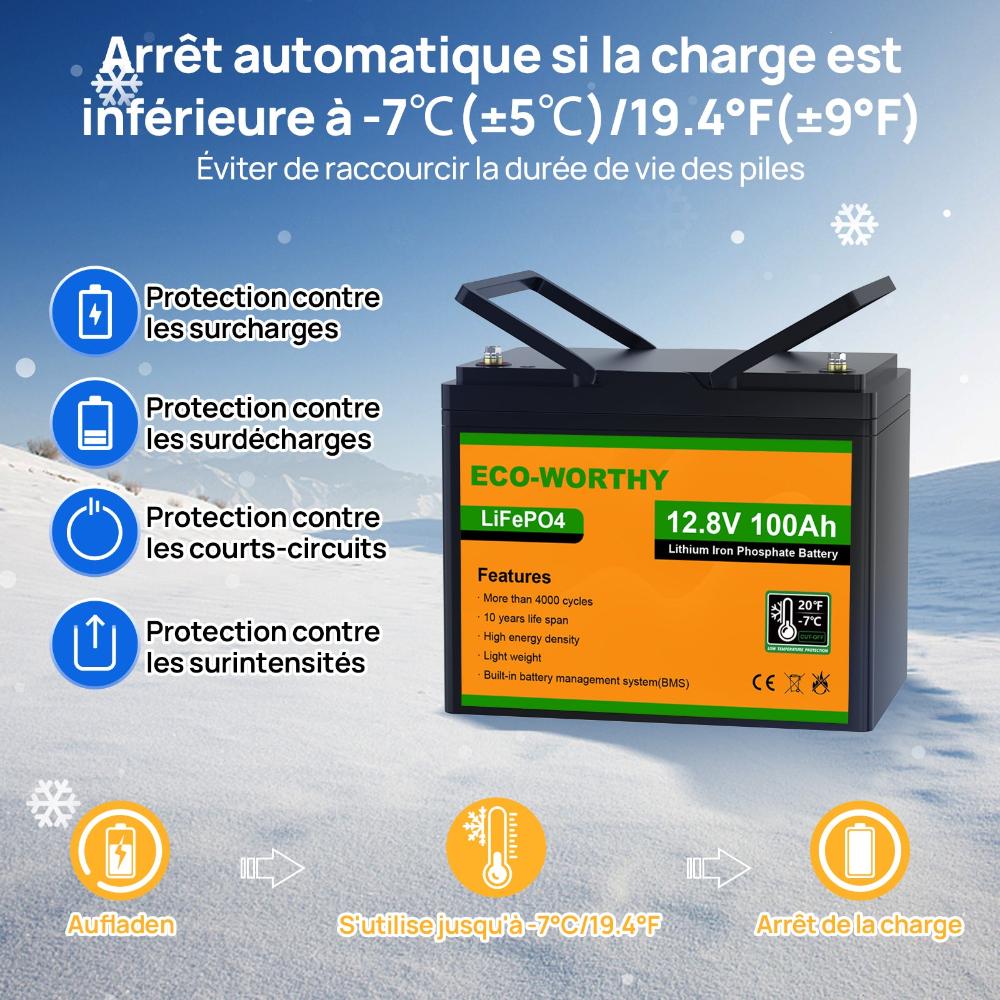 Batterie Lithium LiFePO4 - 100Ah - Protection Basse Température - 12V